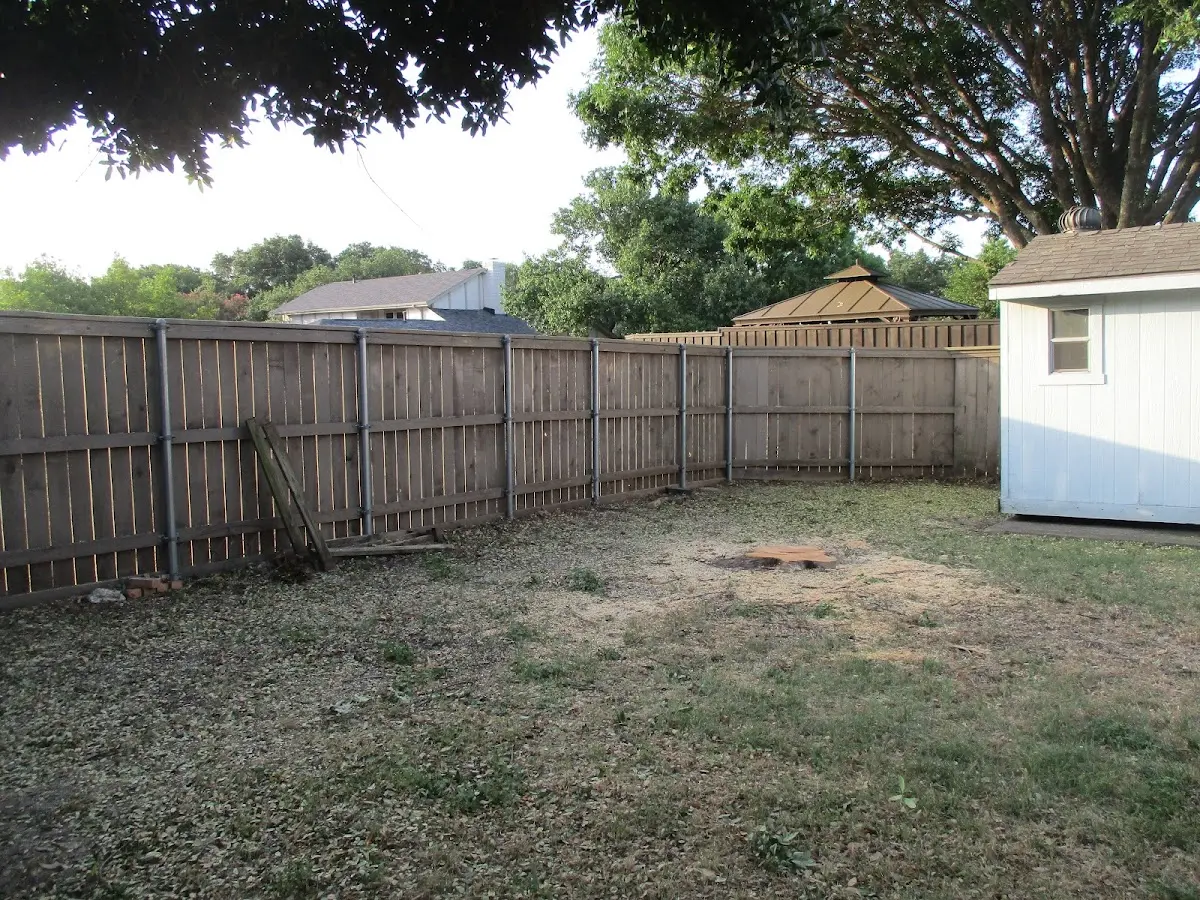 Cleared yard after professional tree removal in Lynchburg