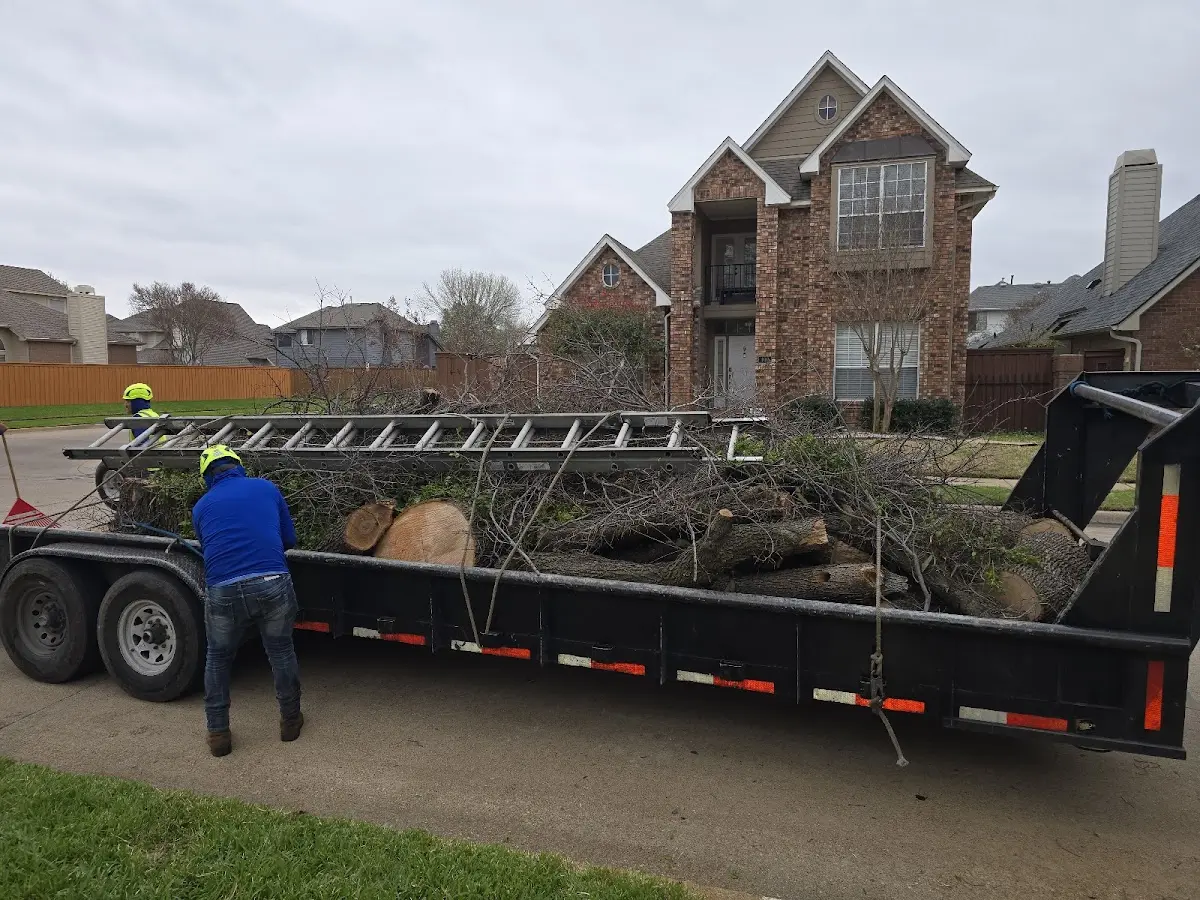 Expert Tree Pest Control with proper safety equipment in Lynchburg